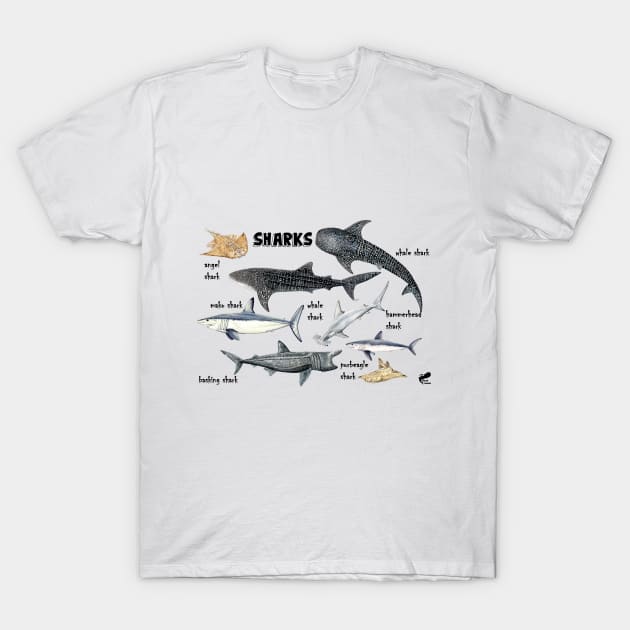 Sharks of the world T-Shirt by chloeyzoard